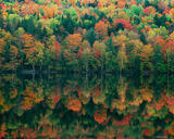 The New England Landscape