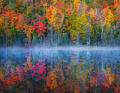 Misty Morning Dawn