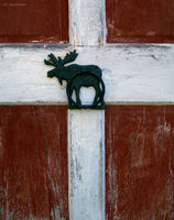 Maine Barn Door