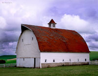 Palouse Barn