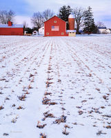 An American Farm