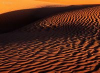 Sand Dunes At Sunset