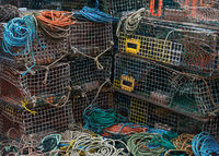 Lobster Traps