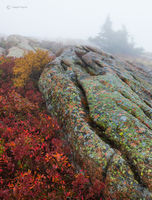 Granite Formation & Low Sweet Blueberries