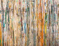 Remnant VIII