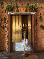 The Basement Ark