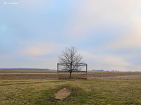 Field Of Dreams II