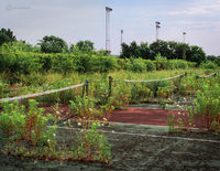 Forgotten Tennis Courts