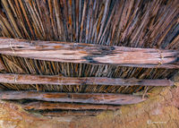 Ancestral Roof