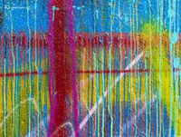 Remnat XXIII