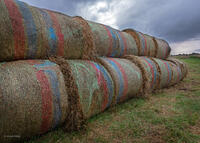 Hay Bales