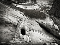 Pine Cone Ruin II
