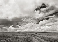 Navajo Road