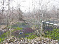 Abandoned Tennis Courts