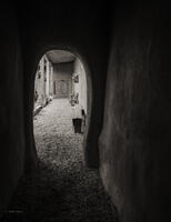 Hacienda Door