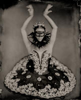 The Black Swan II