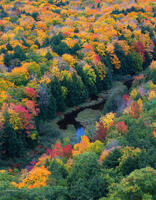 The Carp River