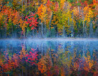 Misty Morning Dawn