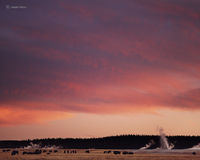 Buffalo Sunset