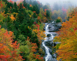 Silver Cascade In Fog