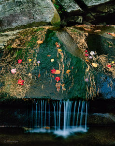 Autumn Cascade