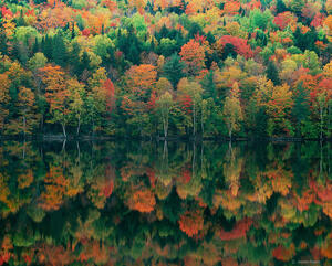 Autumn's Masterpiece
