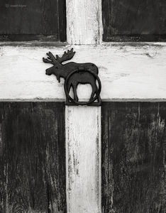 Moose Barn Door 