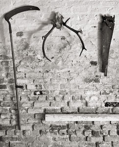 Barn Tools & Skull