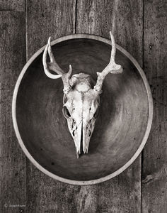 Skull & Bowl