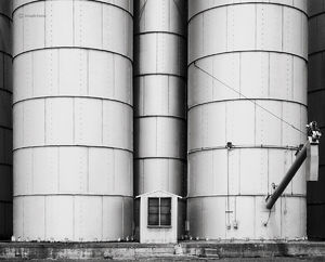 The Grain Co-op