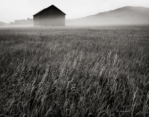 The Ghost Barn