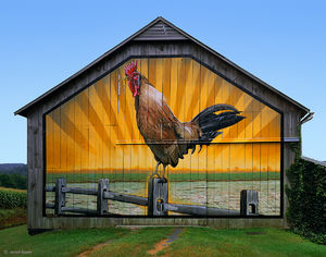 The Rooster Barn