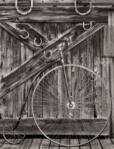 The Old Bicycle