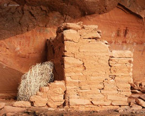 Tumbleweed Ruin