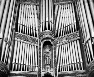 The Organ Guardian