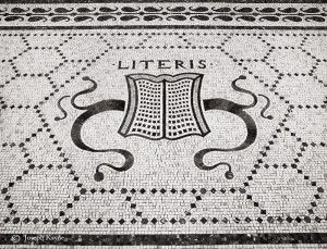 Literis