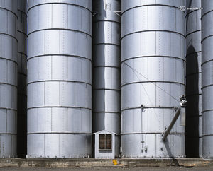 Grain Cooperative