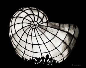 Weston's Light