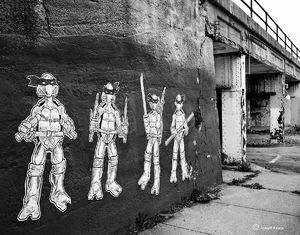Ninja Turtles