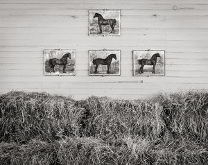 Vermont Horse Barn
