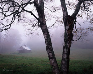 Old Sugar House In Fog