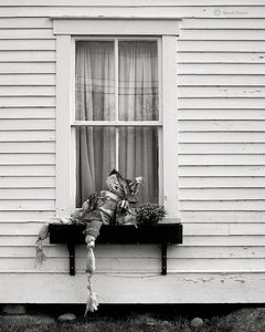 Drunk Scarecrow