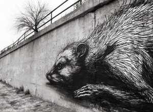 The Rodent