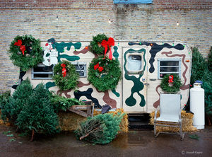 The Christmas Tree Lot