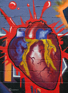 The Heart