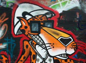 The Cheetah 