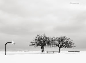 Winter Solitude