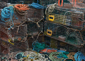 Lobster Traps