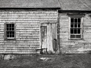 Back Door