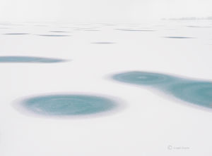 Arctic Chicago